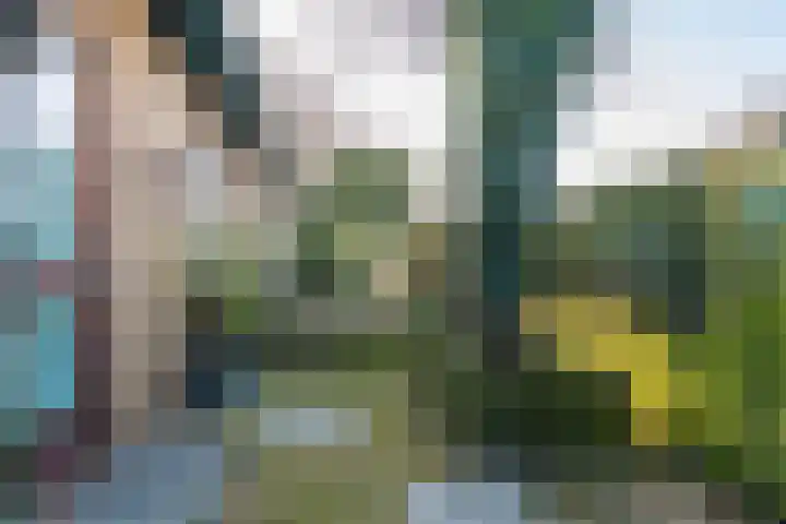 Sjollemastrjitte 5 Damwâld thumbnail 39