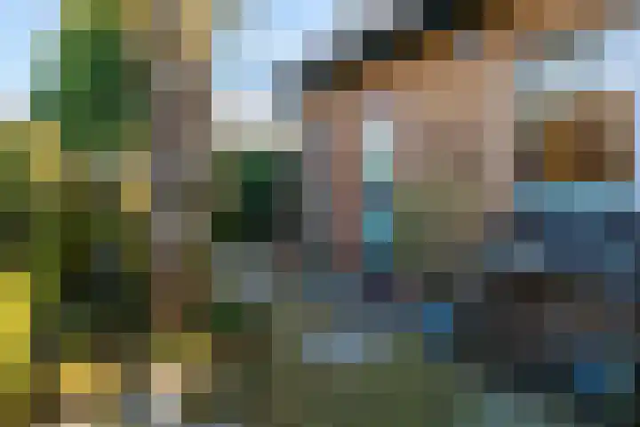 Sjollemastrjitte 5 Damwâld thumbnail 40