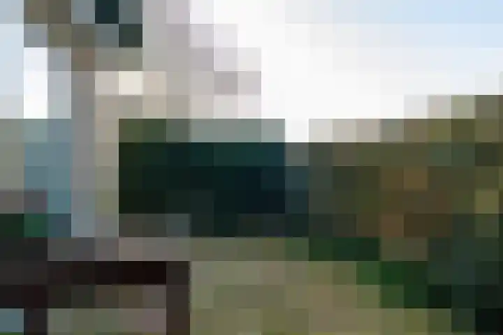 Sjollemastrjitte 5 Damwâld thumbnail 41