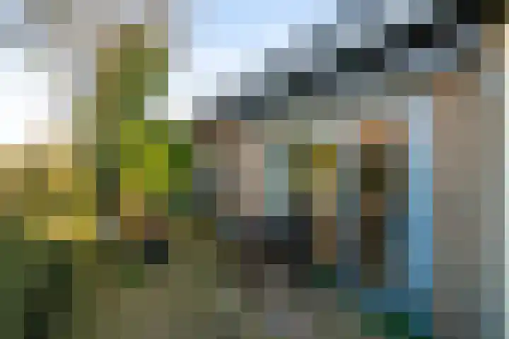Sjollemastrjitte 5 Damwâld thumbnail 42