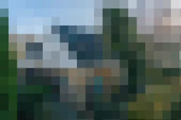Sjollemastrjitte 5 Damwâld thumbnail 43
