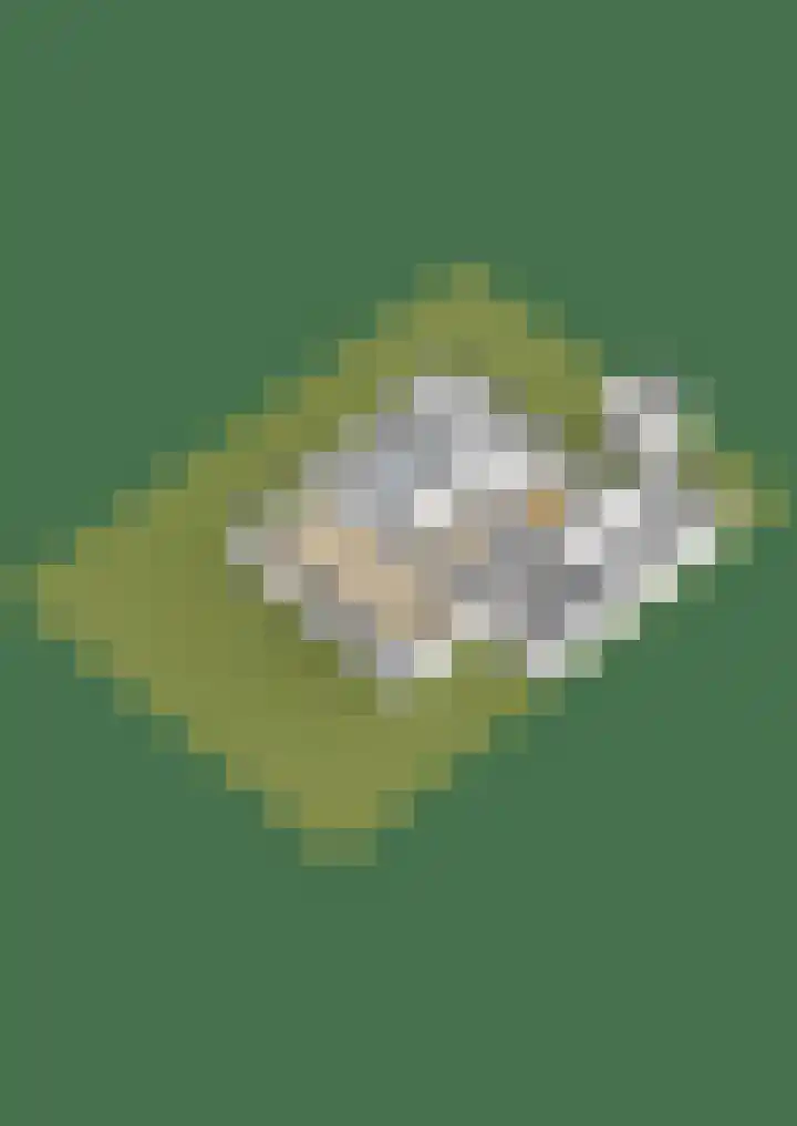 Sjollemastrjitte 5 Damwâld thumbnail 52