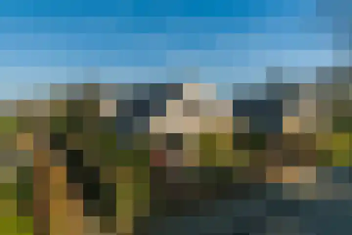 Sjollemastrjitte 5 Damwâld thumbnail 6