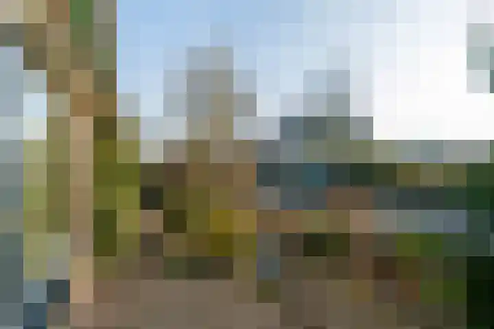Sjollemastrjitte 5 Damwâld thumbnail 7