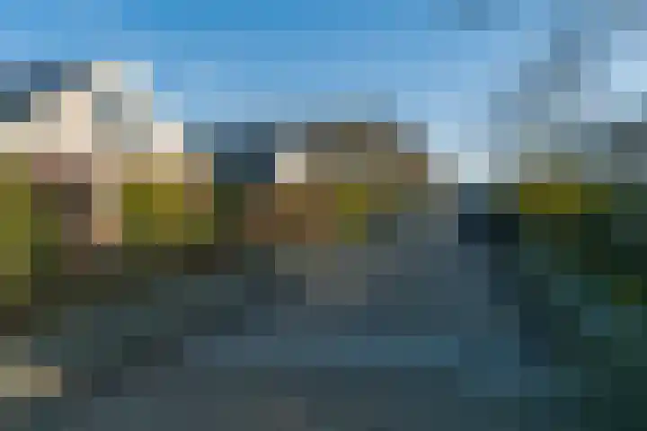 Sjollemastrjitte 5 Damwâld thumbnail 8
