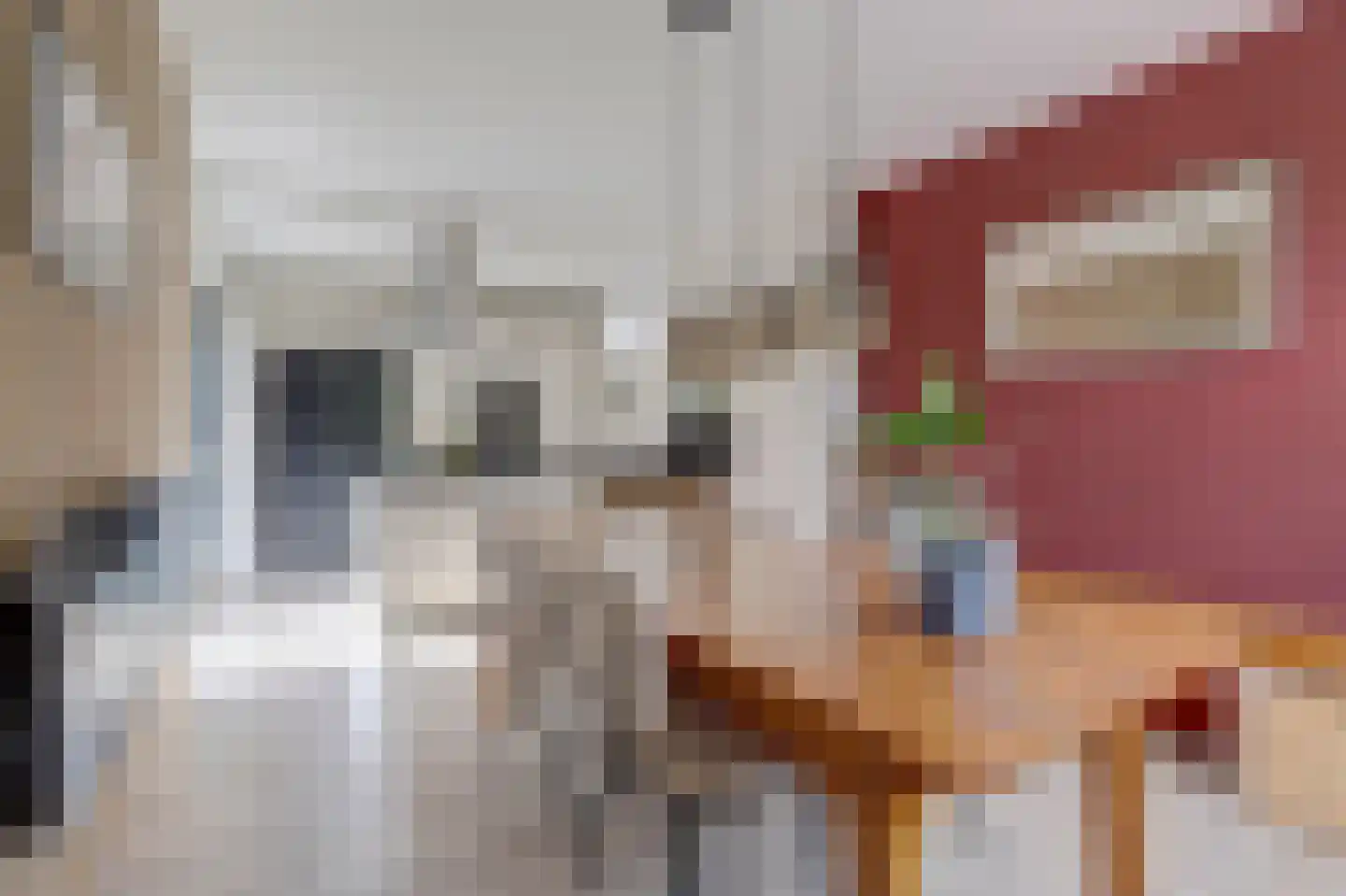 Sjouke Helfrichstraat 39 Franeker thumbnail 10