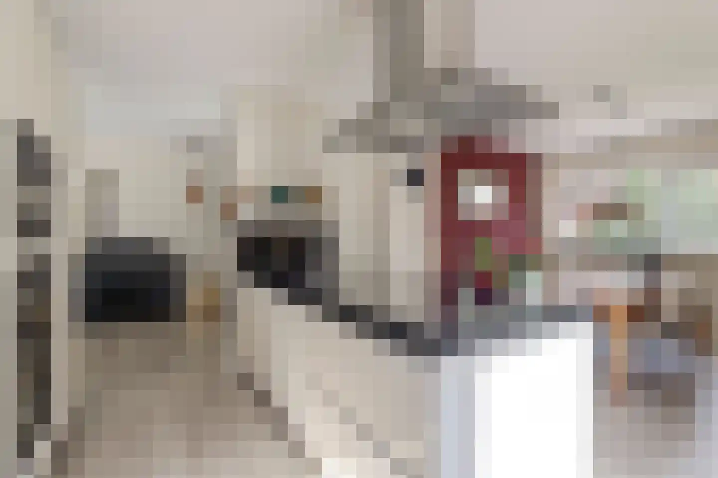 Sjouke Helfrichstraat 39 Franeker thumbnail 12