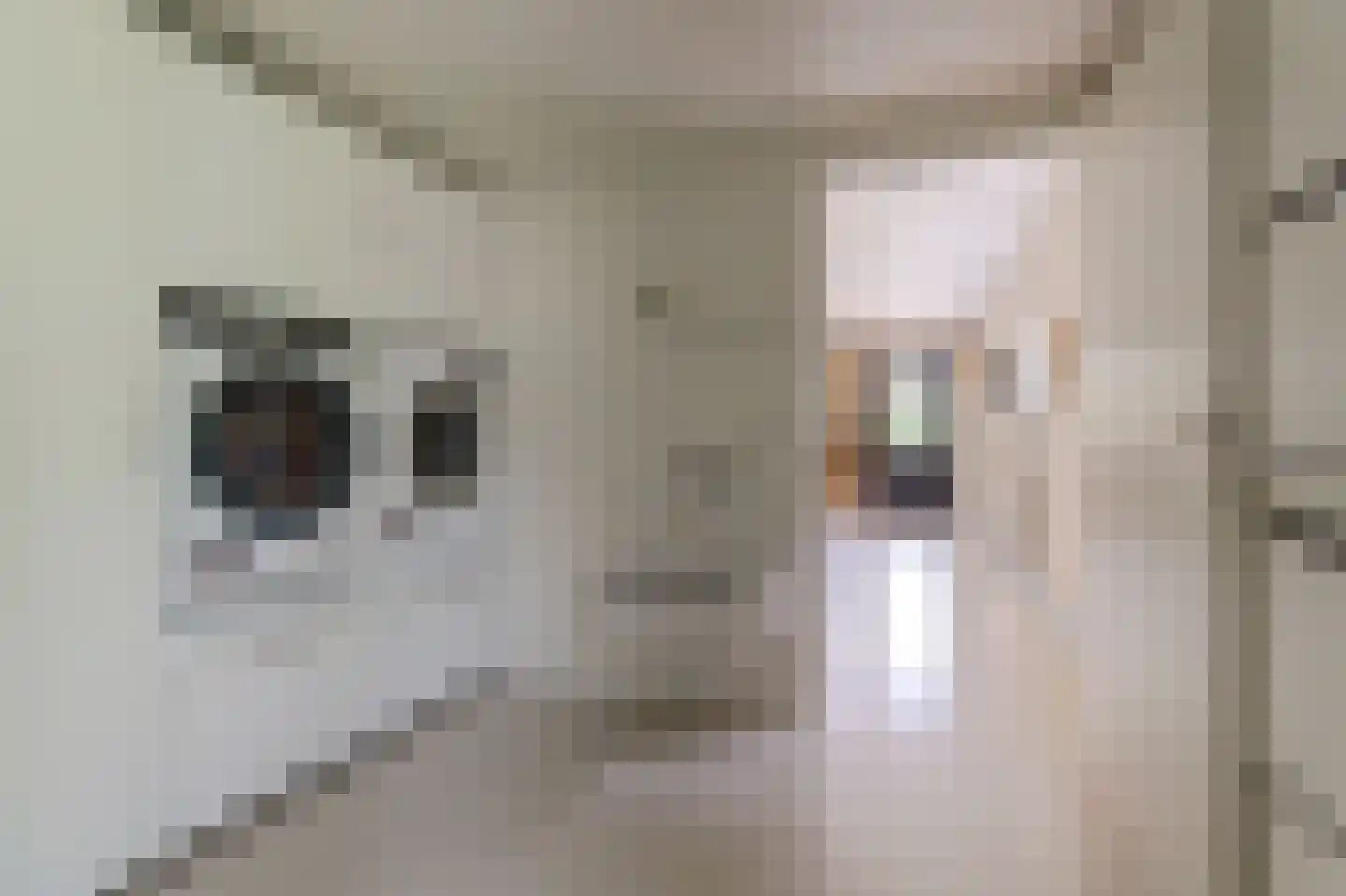 Sjouke Helfrichstraat 39 Franeker thumbnail 14