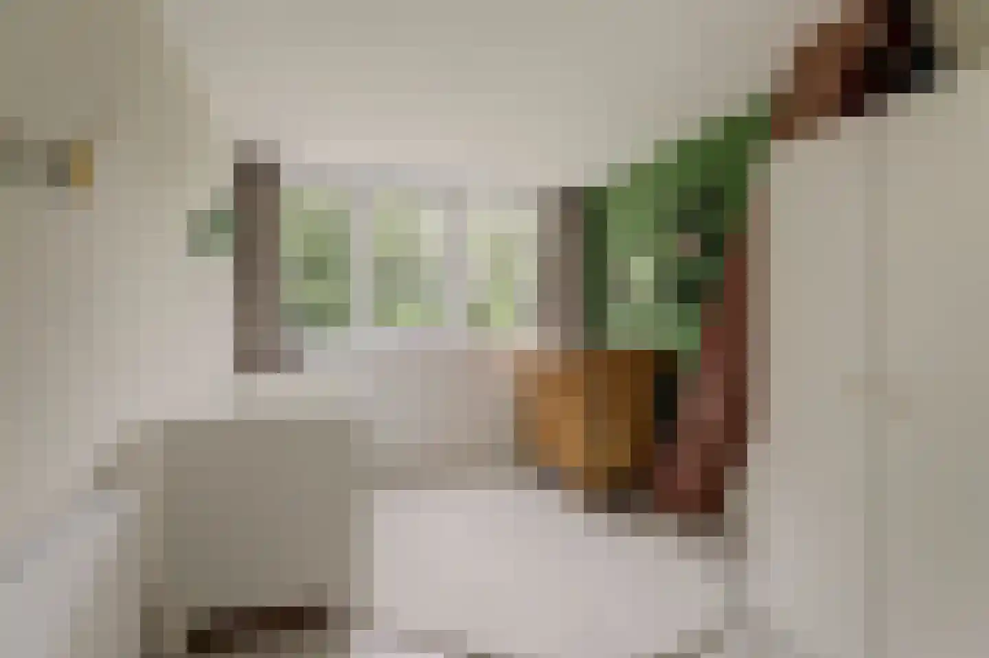 Sjouke Helfrichstraat 39 Franeker thumbnail 27