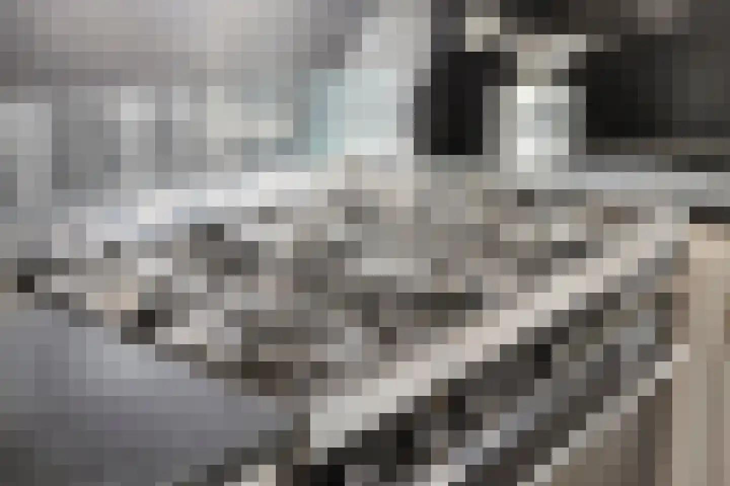 Sjouke van der Kooistrjitte 37 Wirdum thumbnail 14