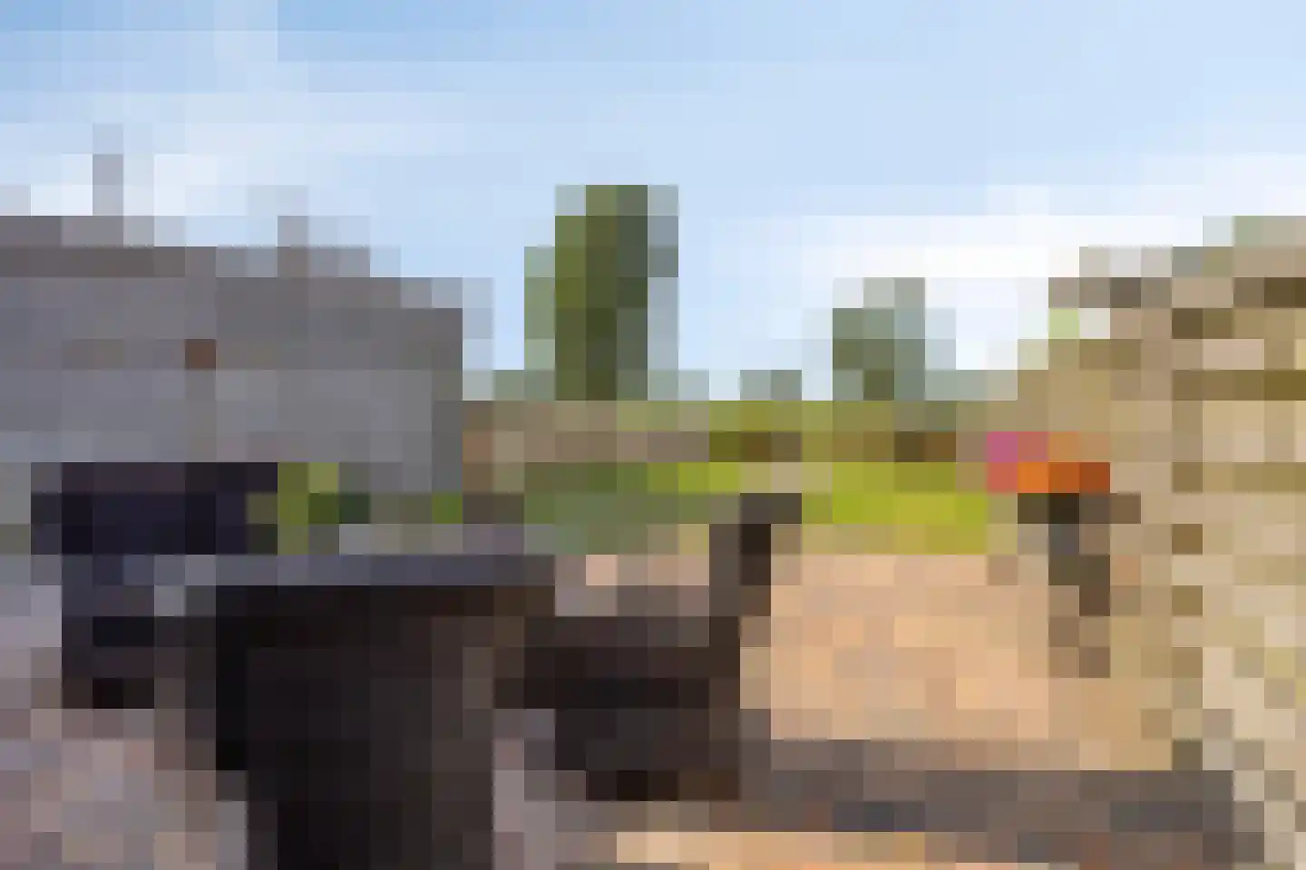 Sjouke van der Kooistrjitte 37 Wirdum thumbnail 28