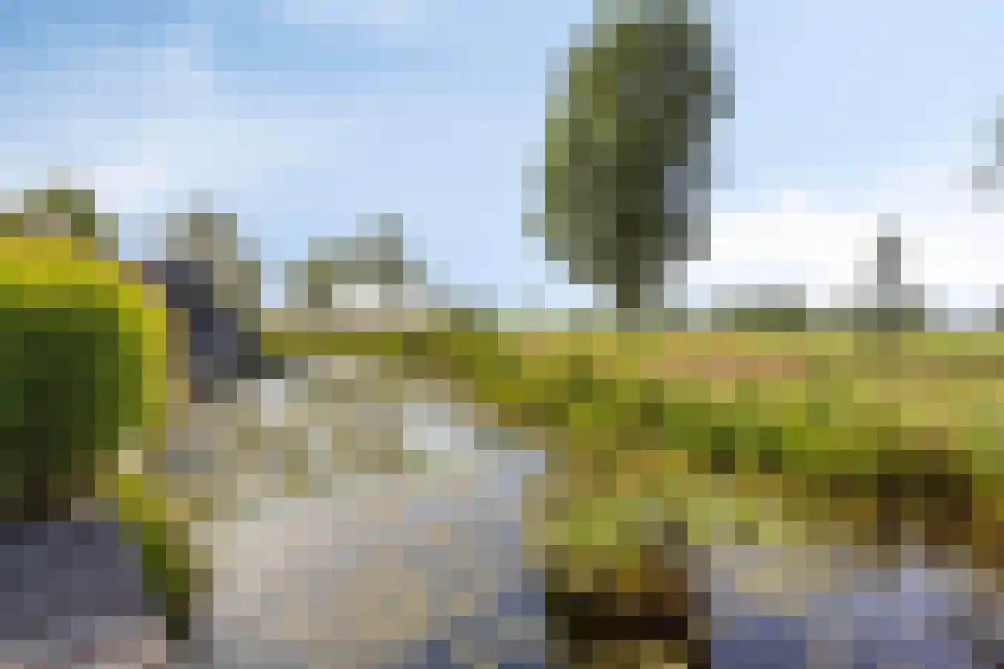 Sjouke van der Kooistrjitte 37 Wirdum thumbnail 31