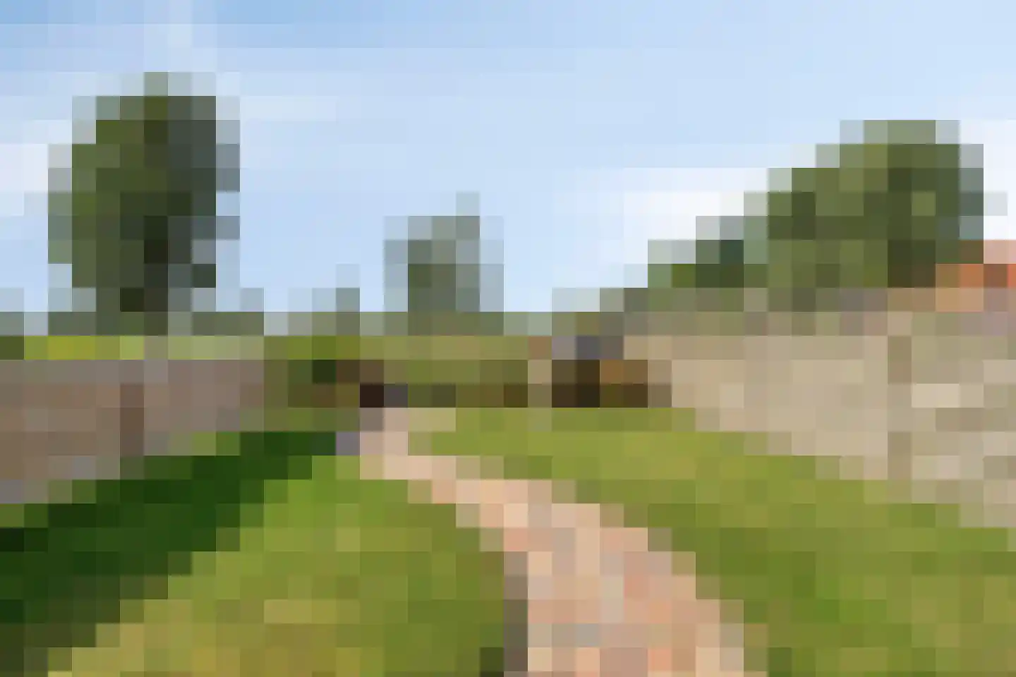 Sjouke van der Kooistrjitte 37 Wirdum thumbnail 5