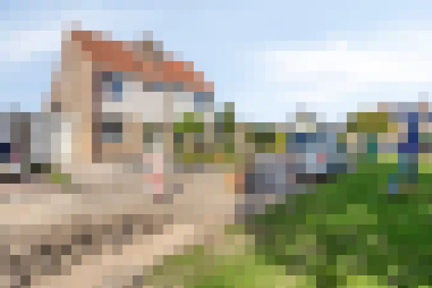 Sjouke van der Kooistrjitte 37 Wirdum thumbnail 8