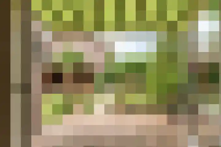 Sjoukje Dijkstralaan 10 Hoofddorp thumbnail 23