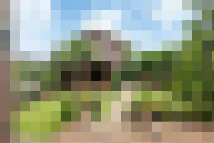 Sjoukje Dijkstralaan 10 Hoofddorp thumbnail 24