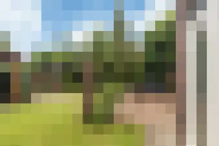 Sjoukje Dijkstralaan 10 Hoofddorp thumbnail 25