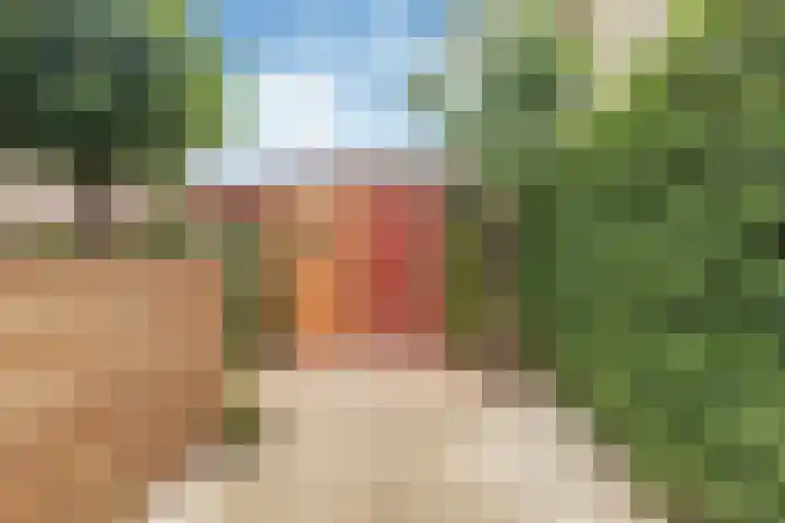 Sjoukje Dijkstralaan 10 Hoofddorp thumbnail 30