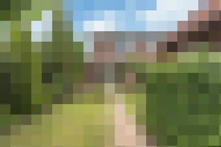 Sjoukje Dijkstralaan 10 Hoofddorp thumbnail 31