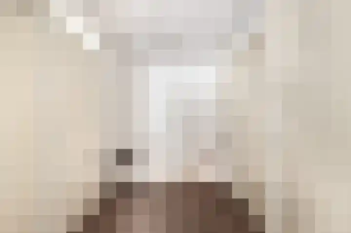 Sjoukje Dijkstralaan 10 Hoofddorp thumbnail 32