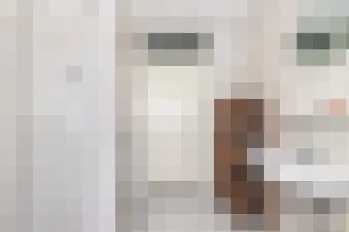 Sjoukje Dijkstralaan 10 Hoofddorp thumbnail 37