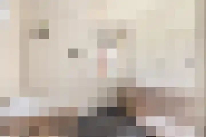 Sjoukje Dijkstralaan 10 Hoofddorp thumbnail 41