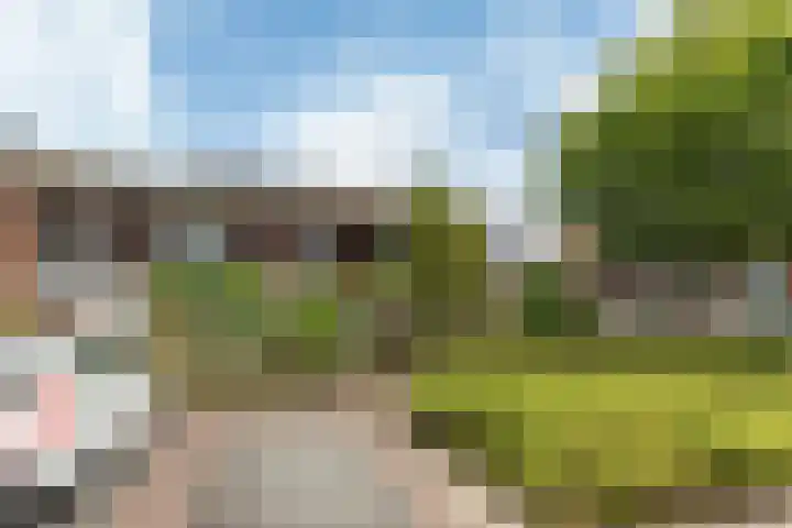 Sjoukje Dijkstralaan 10 Hoofddorp thumbnail 43