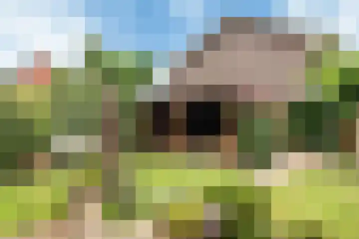 Sjoukje Dijkstralaan 10 Hoofddorp thumbnail 6