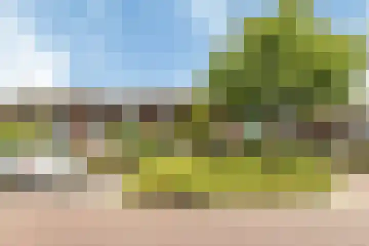 Sjoukje Dijkstralaan 10 Hoofddorp thumbnail 7