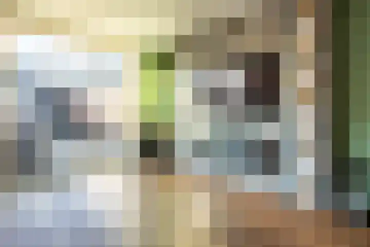 Sjoukje Dijkstralaan 91 Hoofddorp thumbnail 12