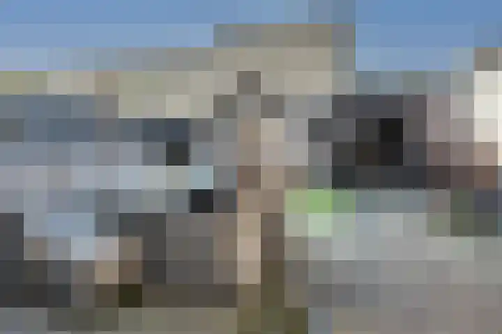 Sjoukje Dijkstralaan 91 Hoofddorp thumbnail 19