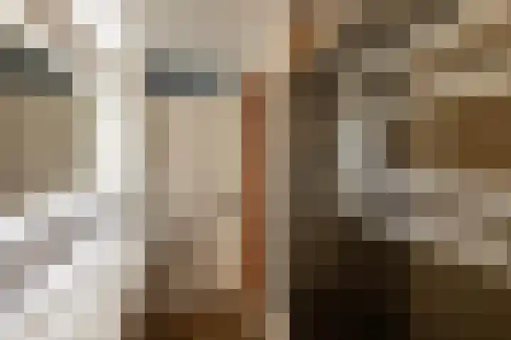 Sjoukje Dijkstralaan 91 Hoofddorp thumbnail 31
