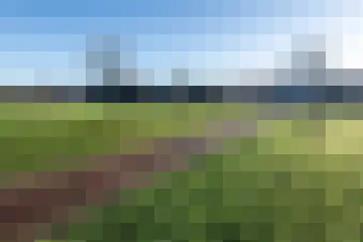 Sjoukje Dijkstralaan 91 Hoofddorp thumbnail 47