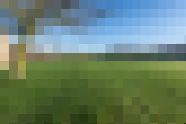 Sjoukje Dijkstralaan 91 Hoofddorp thumbnail 48