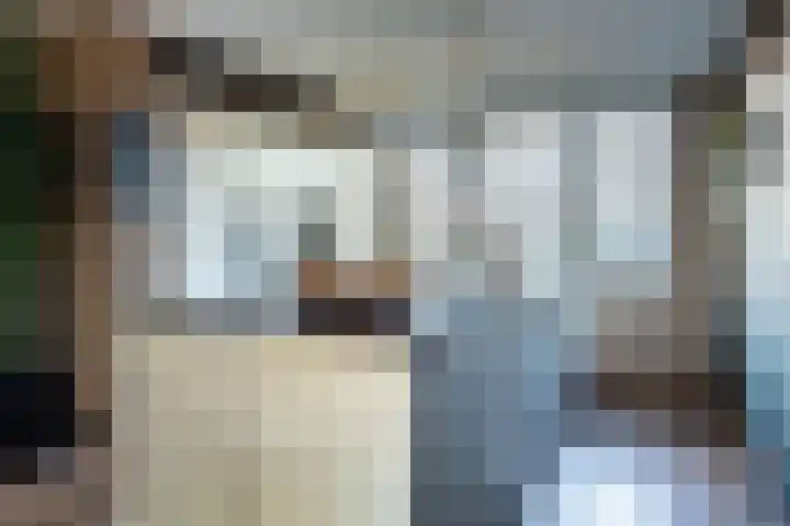 Sjoukje Dijkstralaan 91 Hoofddorp thumbnail 8