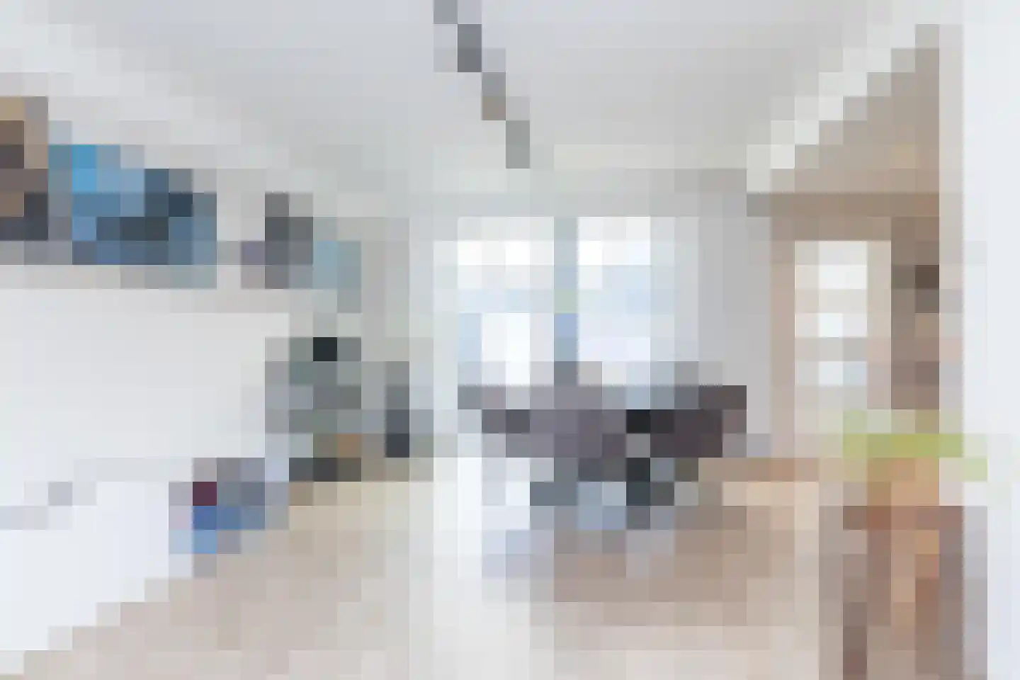 Sjpaans Kentje 20 Landgraaf thumbnail 7