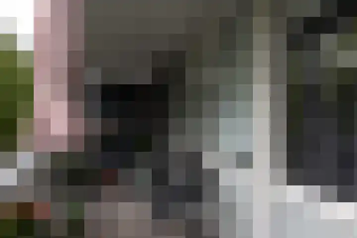 Sjwats Jris 17 Vaals thumbnail 19
