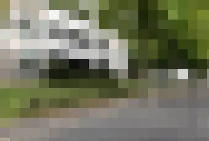 Sjwats Jris 17 Vaals thumbnail 21