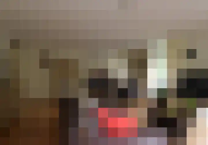 Sjwats Jris 17 Vaals thumbnail 8