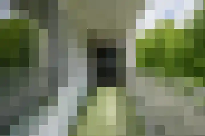 Sjwats Jris 33 Vaals thumbnail 13