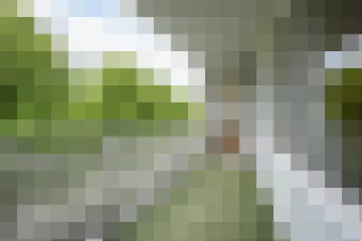 Sjwats Jris 33 Vaals thumbnail 14