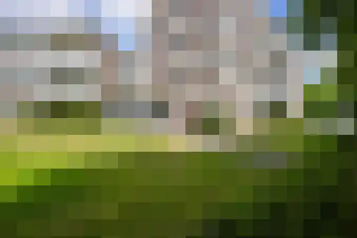 Sjwats Jris 33 Vaals thumbnail 19