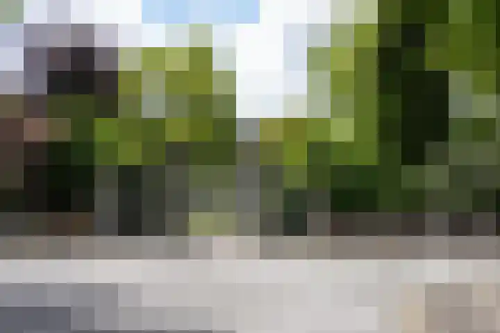 Sjwats Jris 33 Vaals thumbnail 20