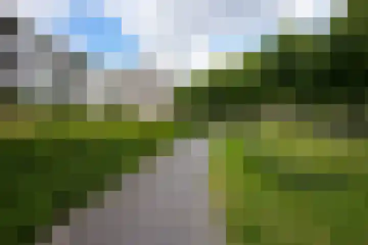 Sjwats Jris 33 Vaals thumbnail 22