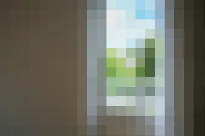 Sjwats Jris 33 Vaals thumbnail 7