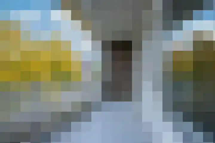 Sjwats Jris 38 Vaals thumbnail 12