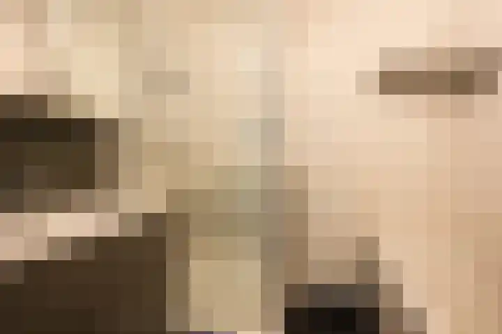 Sjwats Jris 38 Vaals thumbnail 8