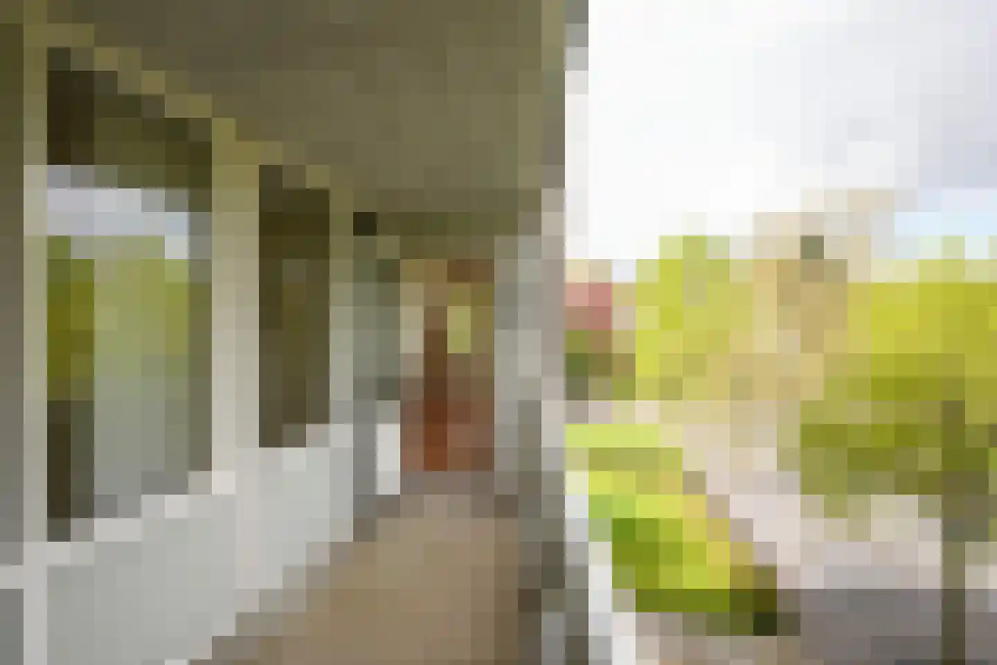 Sjwats Jris 42 Vaals thumbnail 13