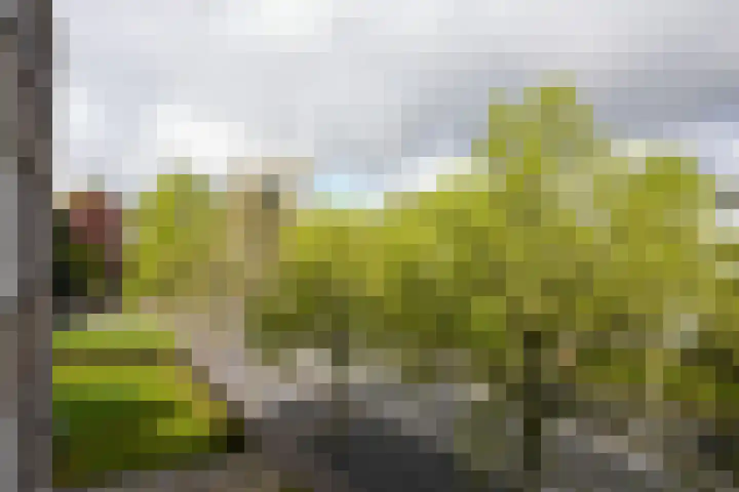 Sjwats Jris 42 Vaals thumbnail 14