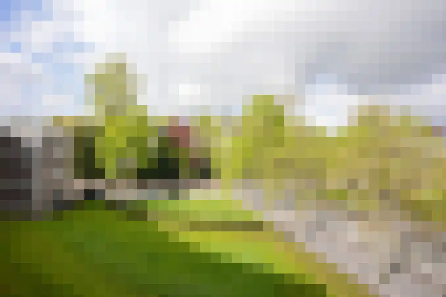 Sjwats Jris 42 Vaals thumbnail 15